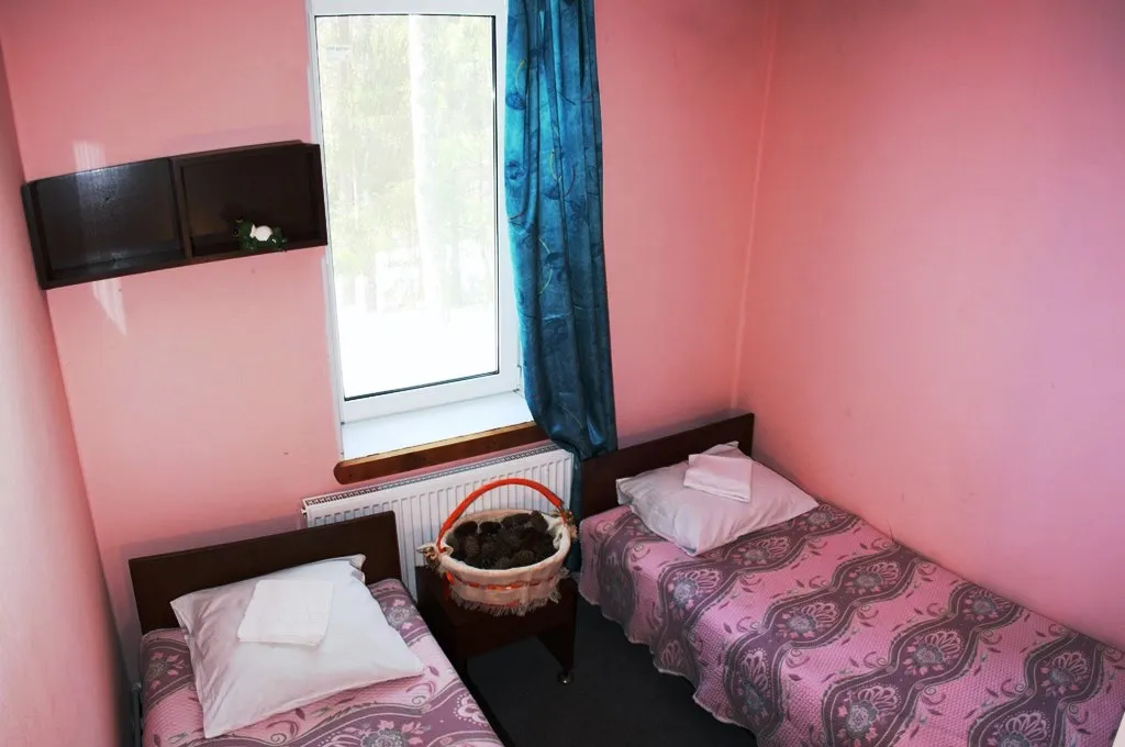 Коттедж 4-комнатный Дом — Луга