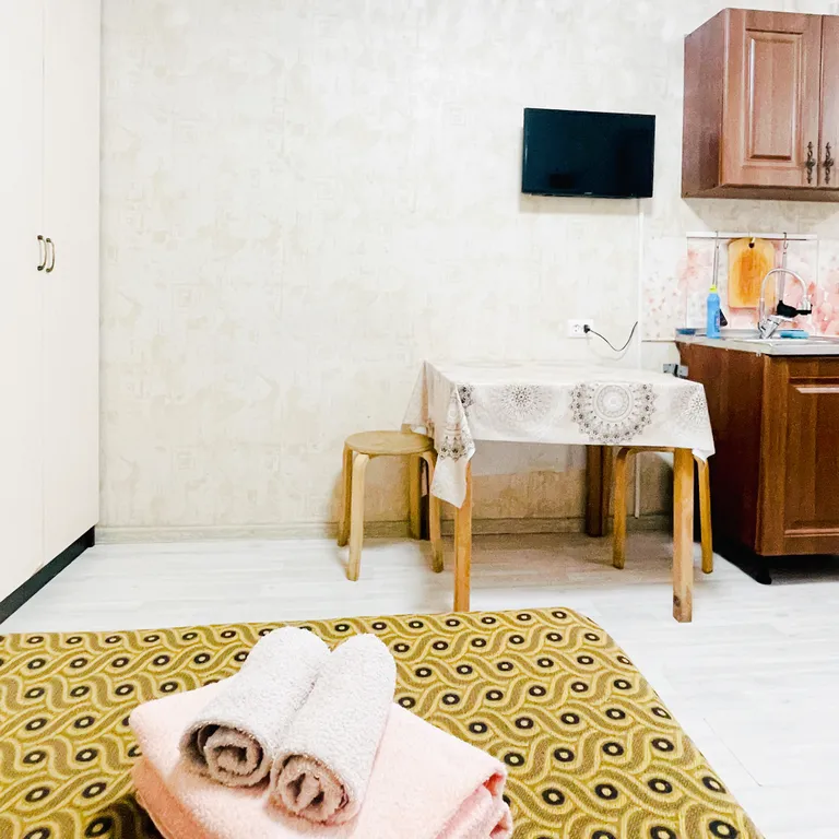 Квартира - студия