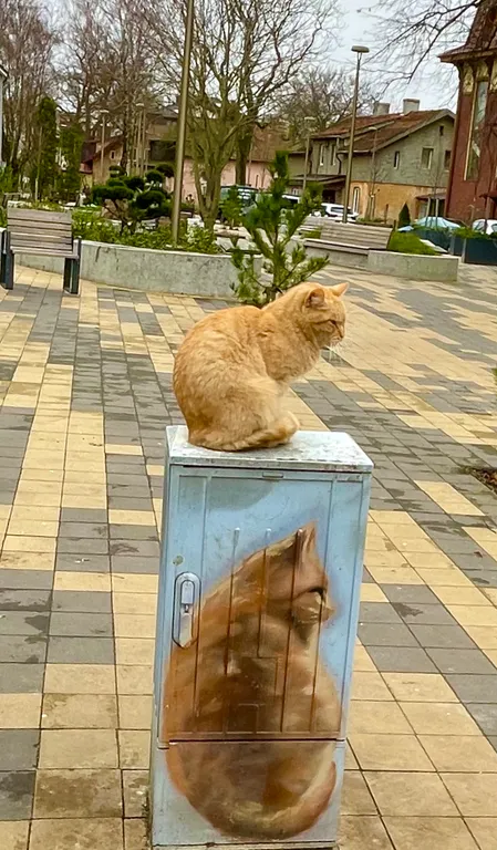 Квартира Квартира Комфортный отдых на побережье в любое время года — Зеленоградск