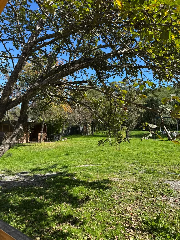 Коттедж с видом на лес