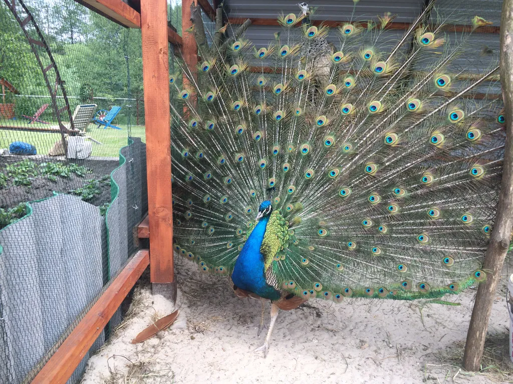 6-комнатный Дом