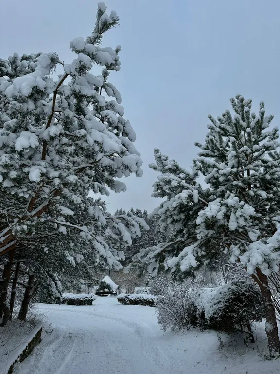 Дом на берегу реки с баней на дровах