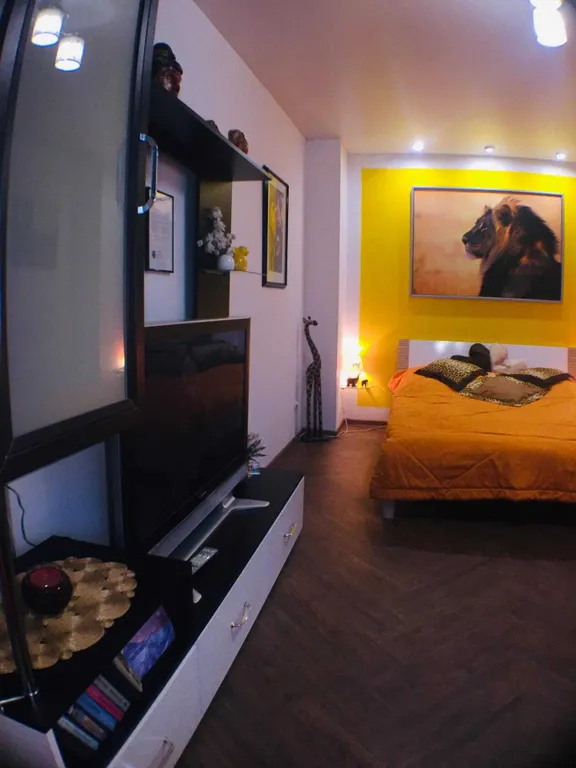 Квартира Апартаменты Сафари в центре — Калининград