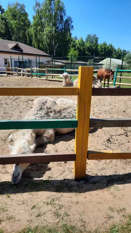 Таунхаус в Яхонтовом лесу