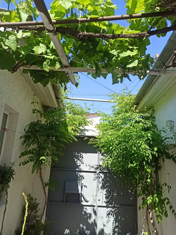 Квартира Квартира на земле в своем дворе — Евпатория