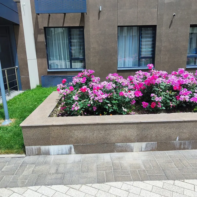 Уютная квартира возле гостиницы Казахстан города Алматы