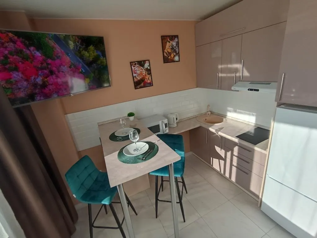 Видовая студия в центре города сети Все в гости