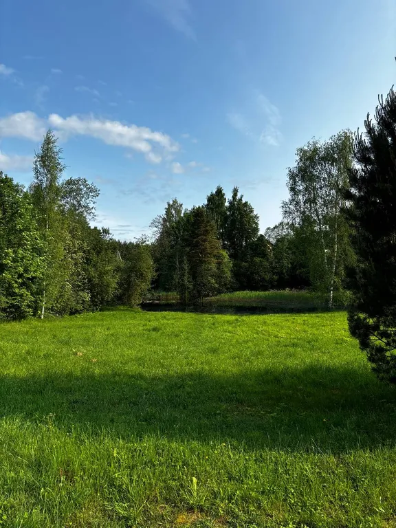 Отдых у воды