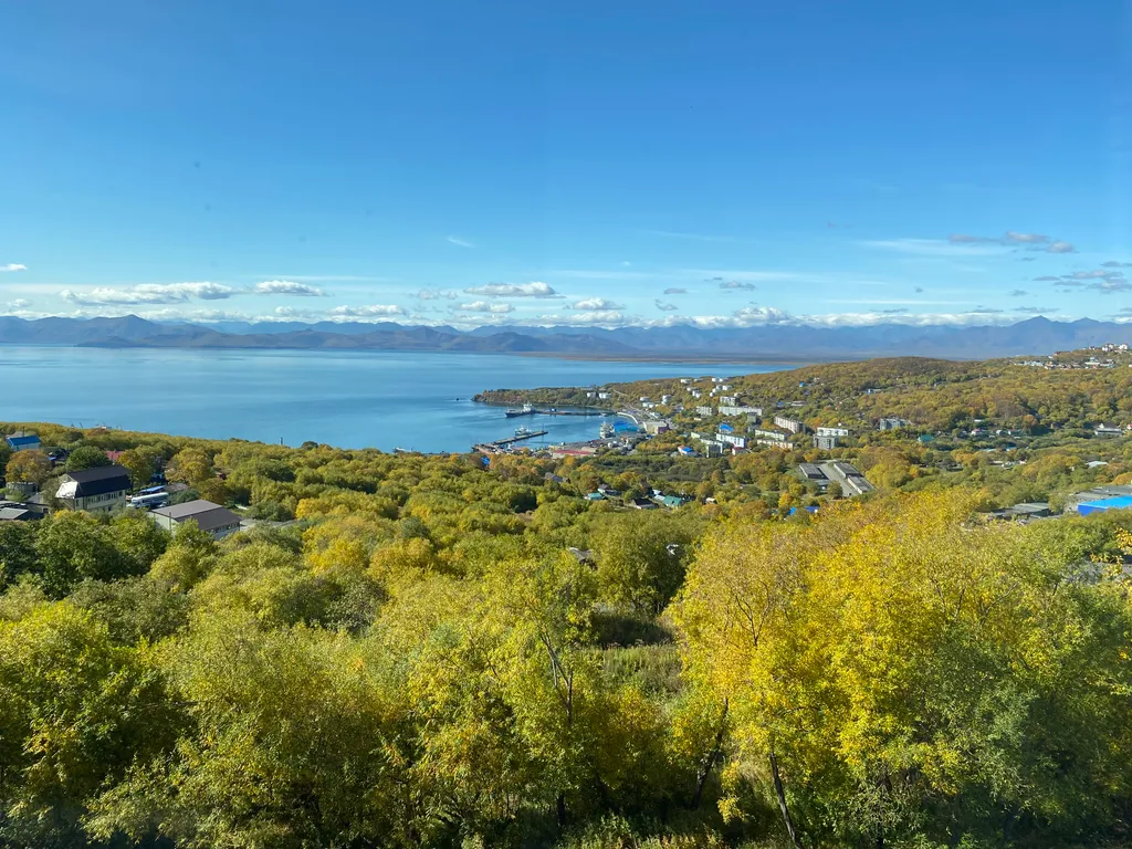 Уютное жильё с прекрасным видом на Авачинскую бухту
