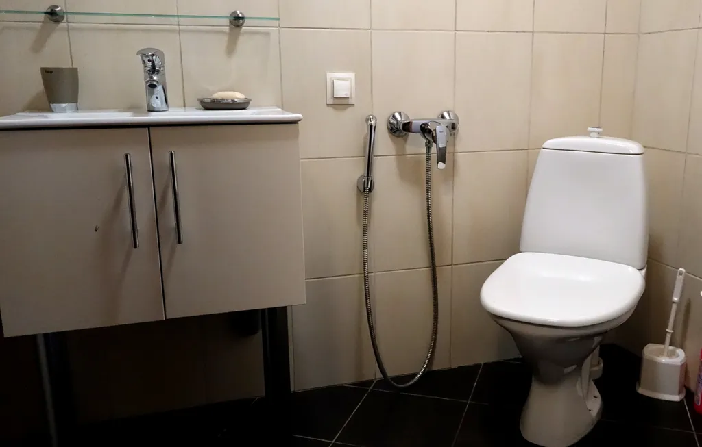 На Ладоге Брусничный