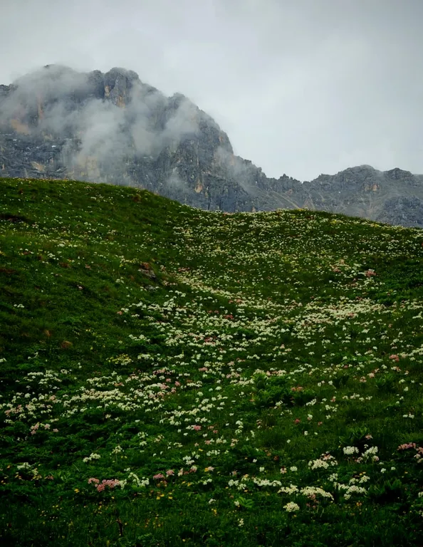 Квартира Комфортная квартира в самом центре города с приятным окружающим видом — Владикавказ