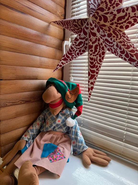 Дом холостяка