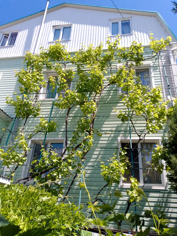 Квартира Уютная комната в голубой бухте — Геленджик