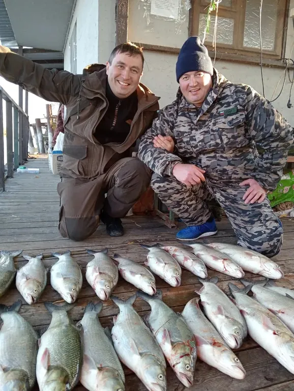 Коттедж 6-комнатный Дом — Камызяк