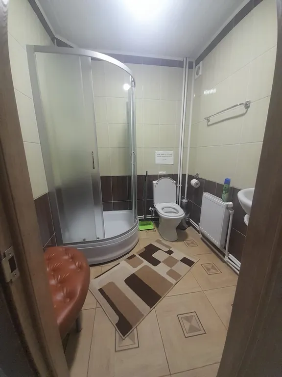 Апартаменты с видом на берёзовый лес