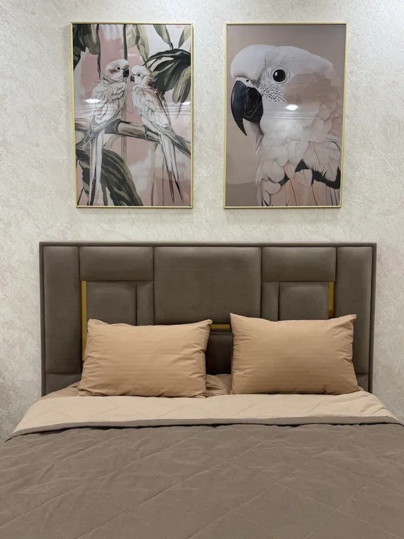 Уютная студия Попугай в центре города