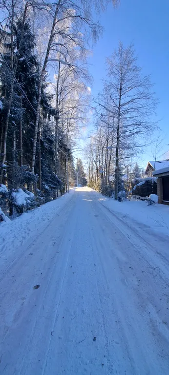 Дом в дубах