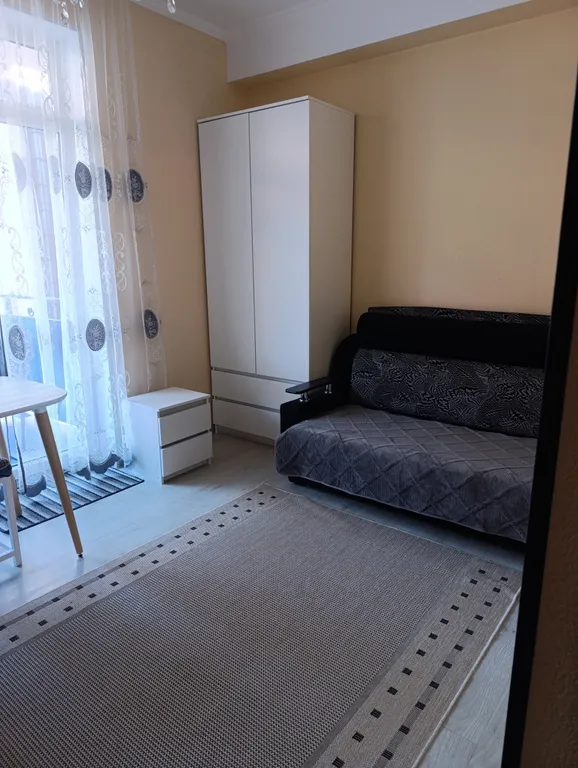 Квартира 1-комнатная Квартира — Сириус