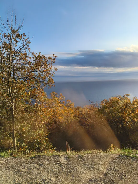Уютная квартира укомплектованная всем необходимым