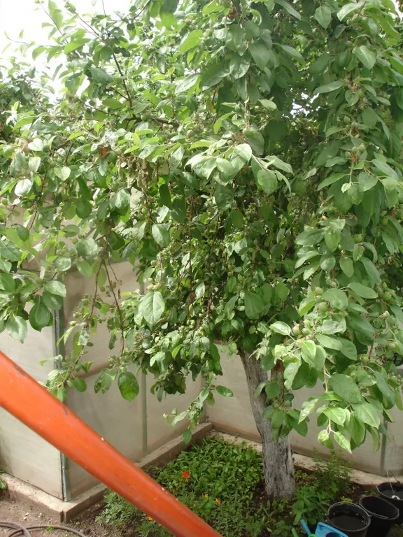 В гостях у сказки 1