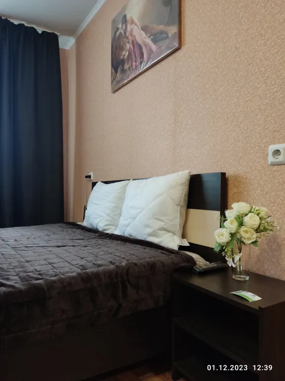 Квартира Апартаменты в гостях у Лилии — аренда посуточно в Октябрьский