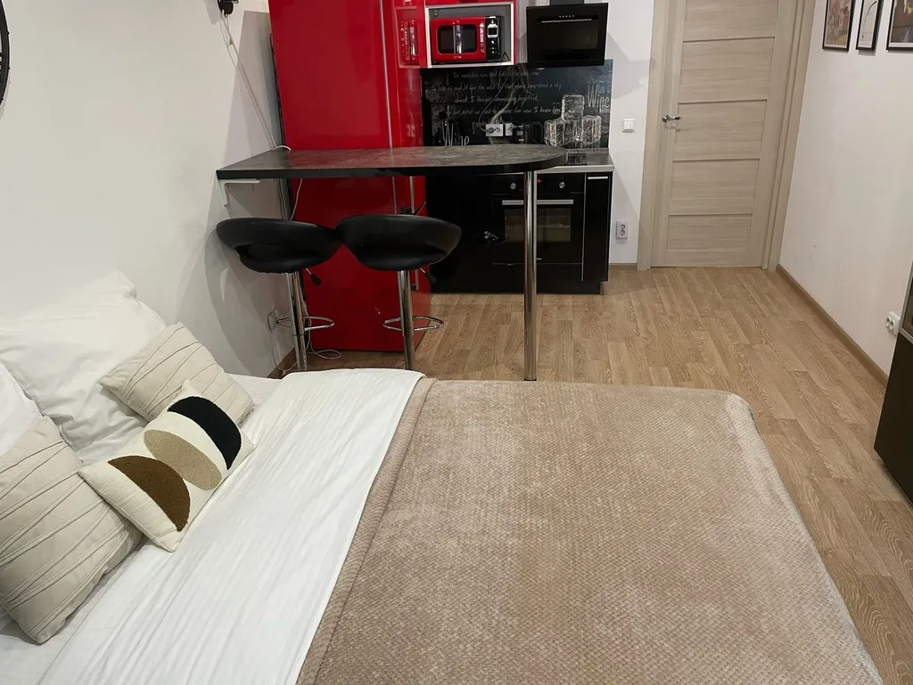 Студия в Солнечном городе