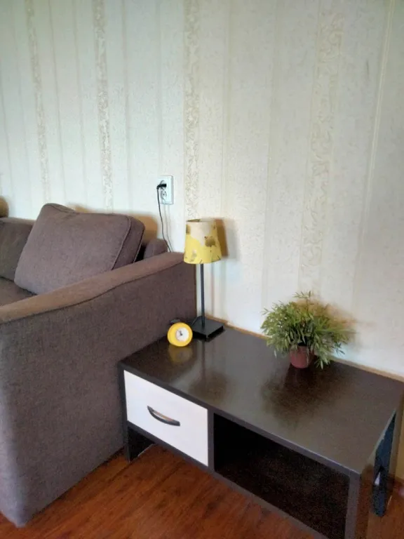 Уютная квартира-студия в центре города