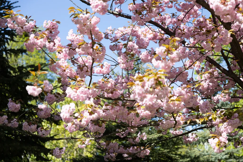 Квартира Квартира Комфорт в атмосфере старого Кенигсберга — Калининград