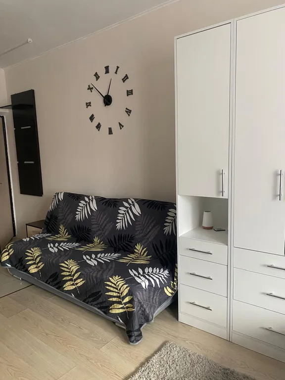 Уютная небольшая студия