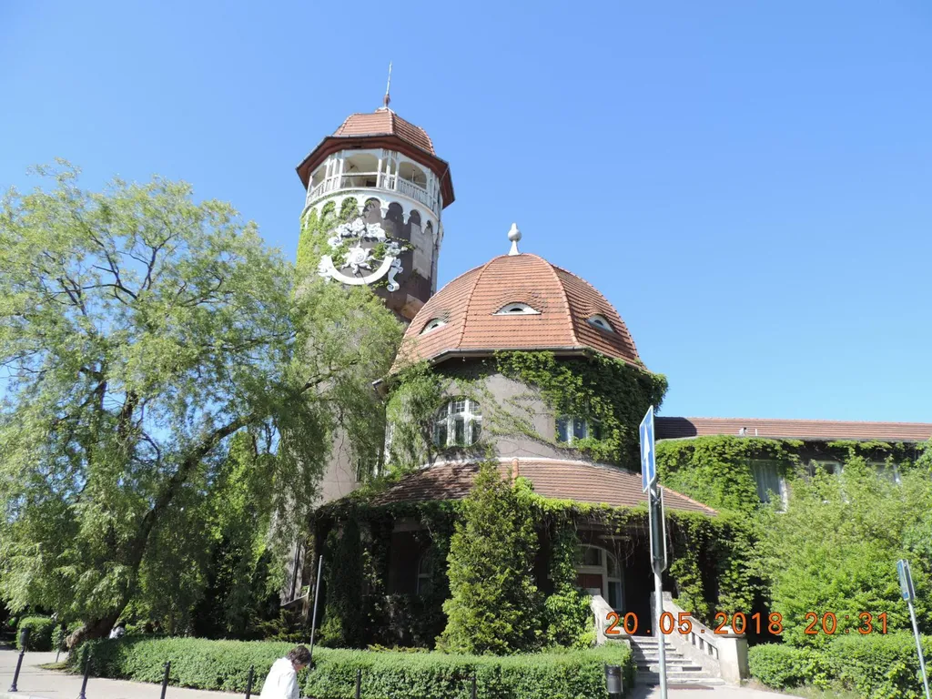 Квартира 1-комнатная Квартира — Светлогорск