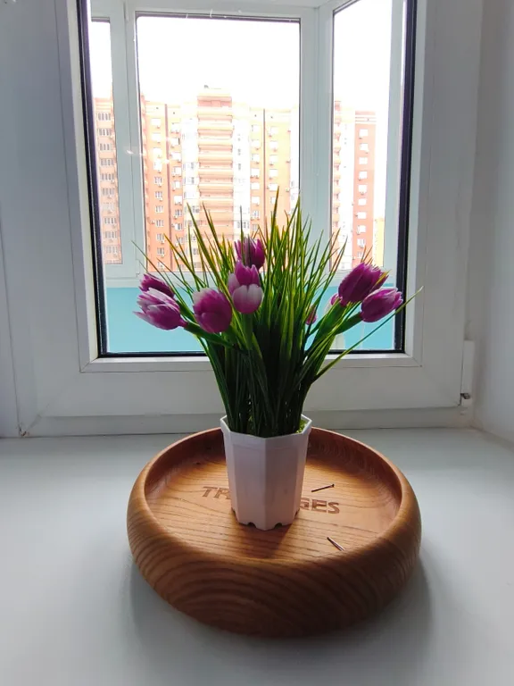 Квартира сомелье - кто от трёх суток повезёт вдвойне