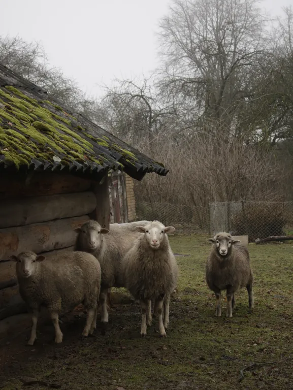 Агроусадьба в хуторской тиши с камином, сеновалом и сном на пчелах