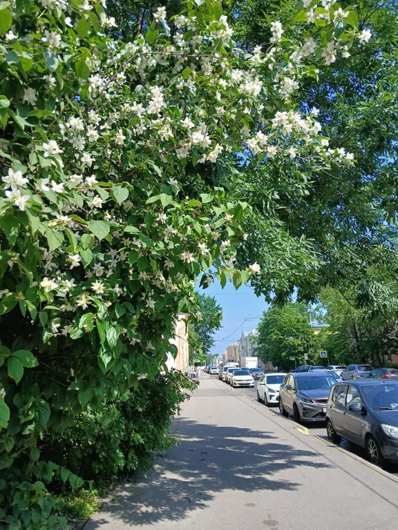 Квартира Апартаменты для двоих Лесная гавань — Пушкин