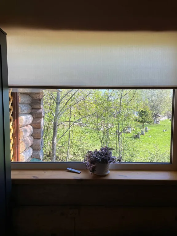 Дом в лесу среди сосен