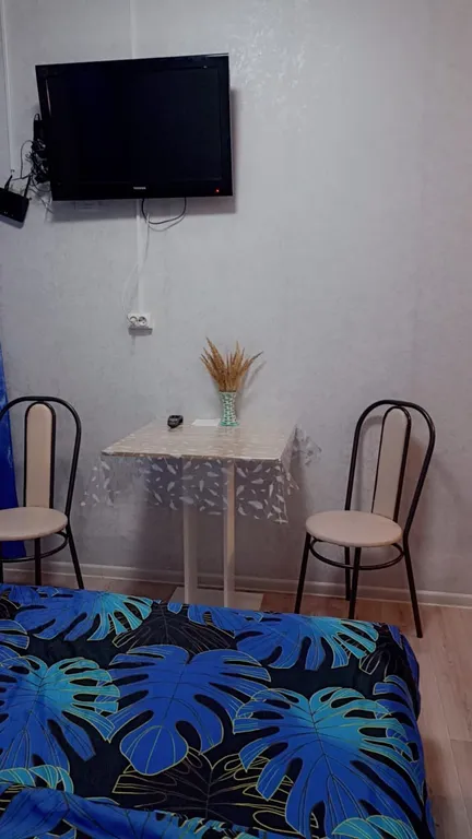 Мини-квартира напротив МНТК