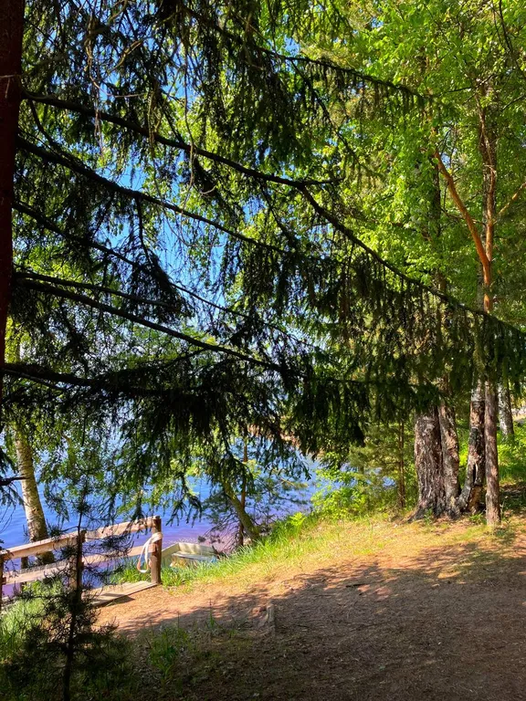 Садовый домик в сосновом бору в 100 метрах от озера