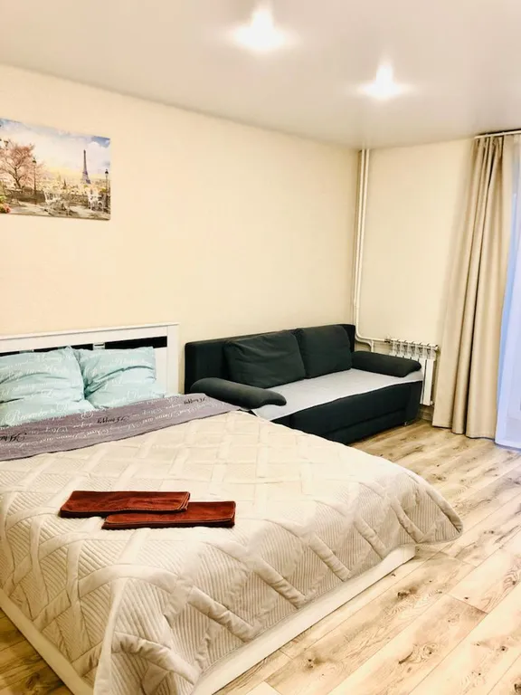 Уютная квартира-студия с панорамными окнами