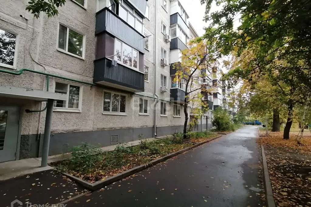 Город на ладони