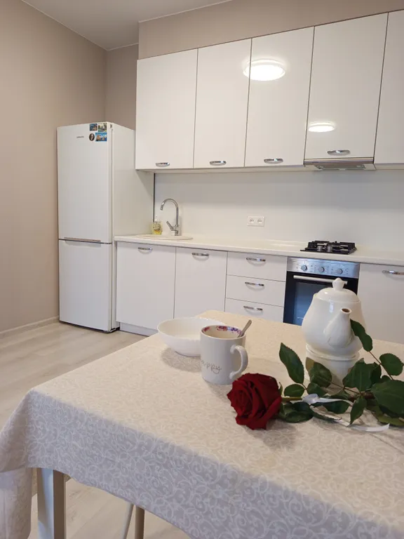 Уютная евродвушка с посудомоечной машиной, в географическом центре города