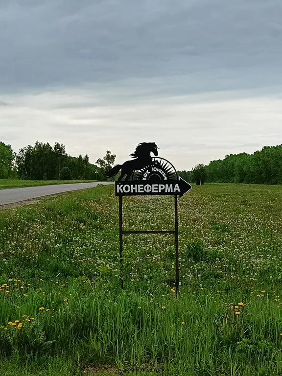 Уютный домик на берегу Камского моря