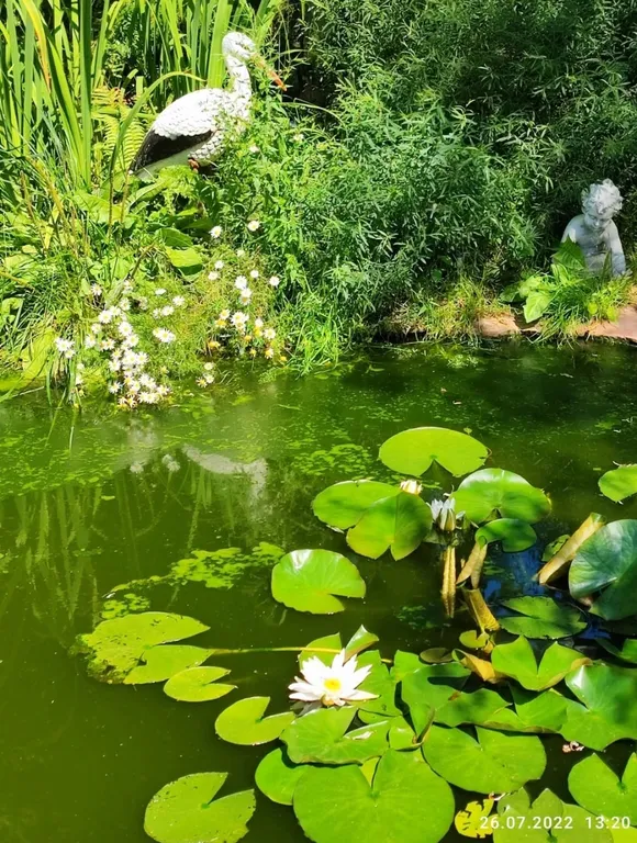 Поместье-Парк на Стрелке