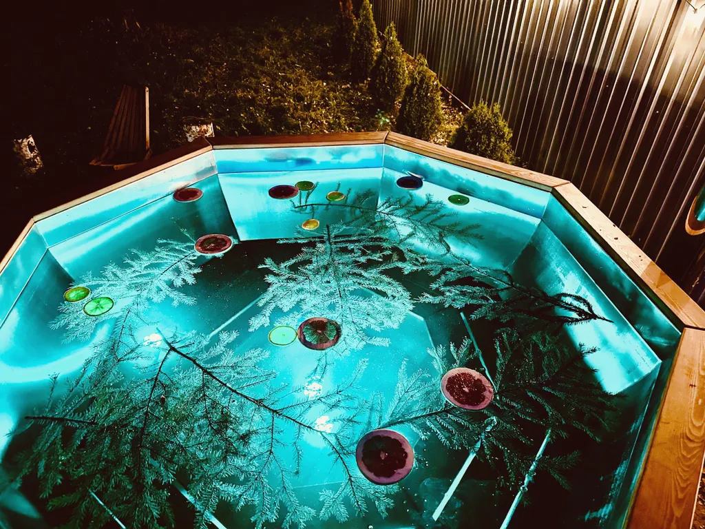 Коттедж Теремок с сибирским банным чаном на новой Риге — Истра