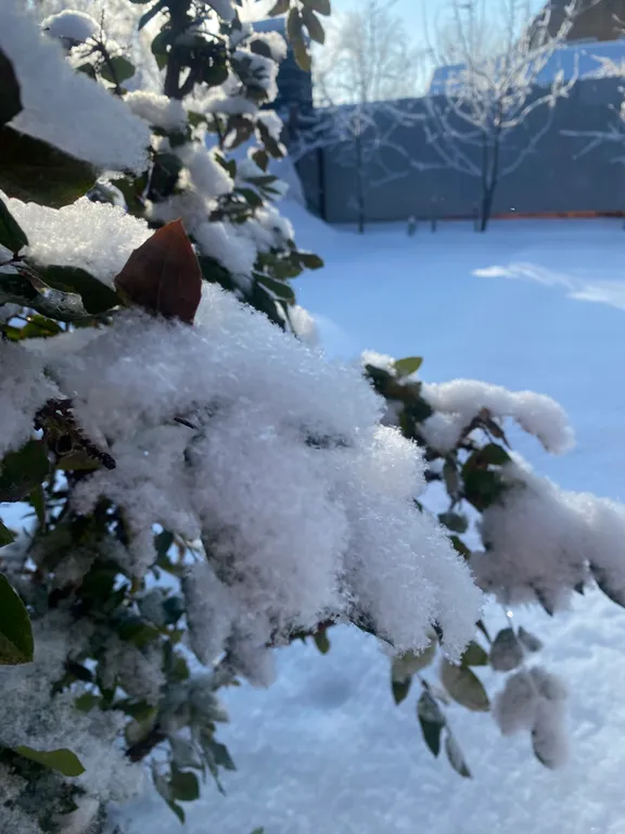 Дом в саду с баней и бассейном летом
