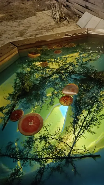 Уютный дом в тишине