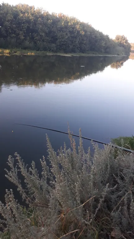 4-комнатный Дом