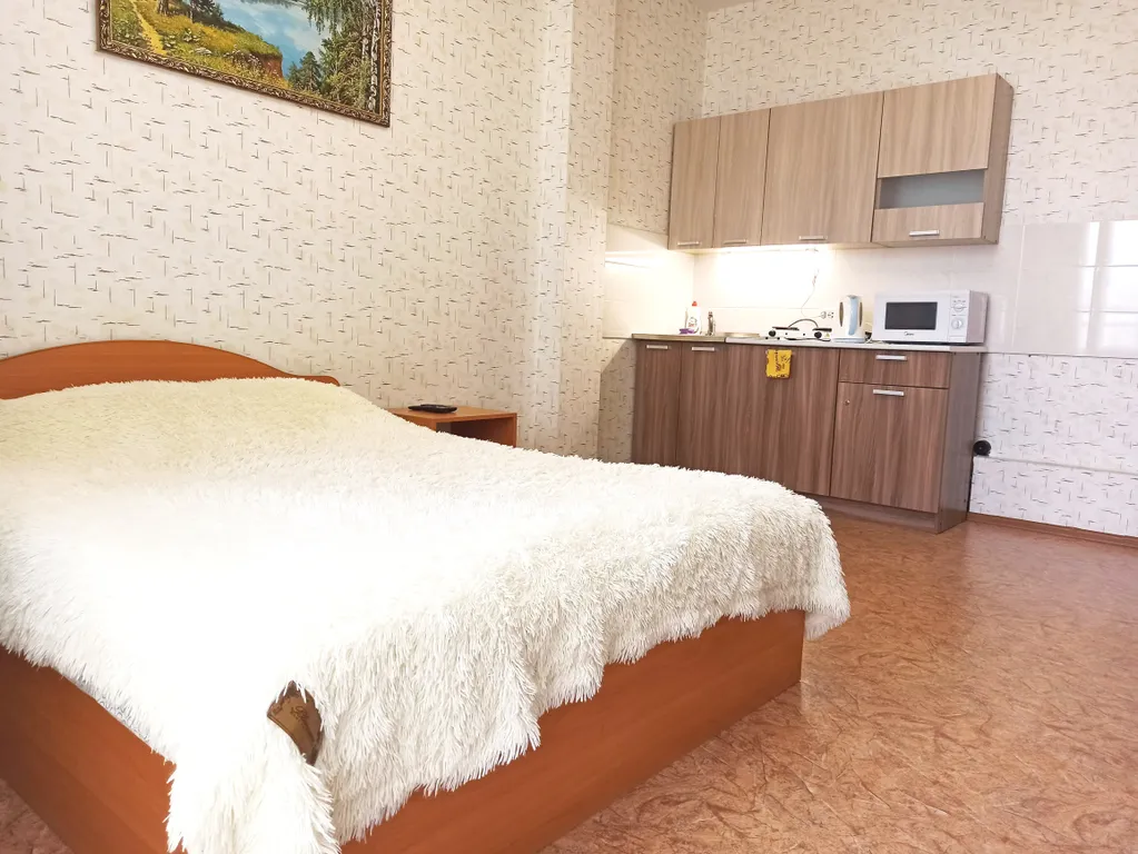 Квартира Классная студия у пермской ярмарки — аренда посуточно в Пермь