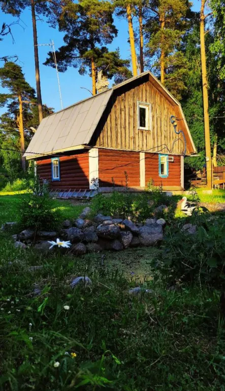 Коттедж Настоящий деревенский дом — Рябово