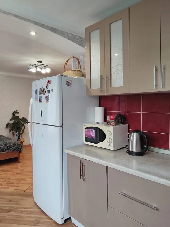 Уютная большая квартира в центре города