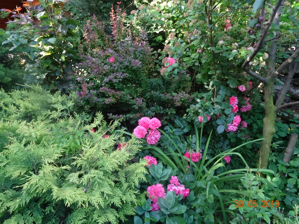 Коттедж Уютный деревянный дом — Анапа