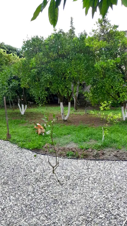 Большой двухэтажный дом с видом на горы